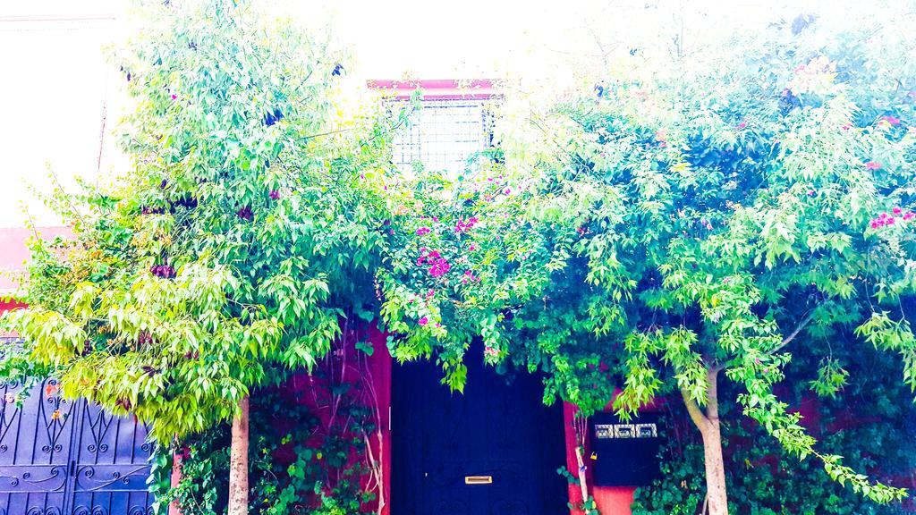 Villa Annakhil Marrakesh Esterno foto